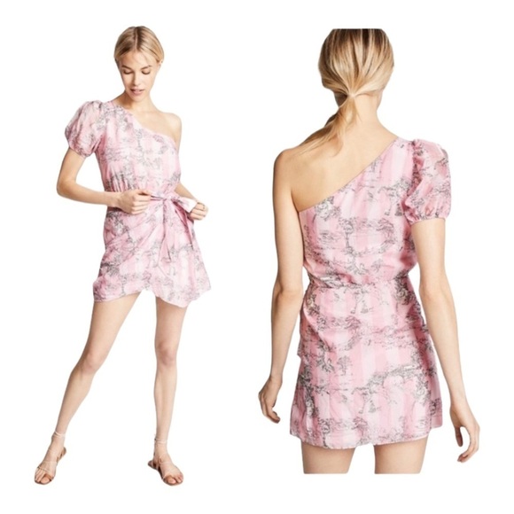 NWT LoveShackFancy Peyton One Shoulder Mini Dress Pink Stripe Size P - Picture 4 of 6